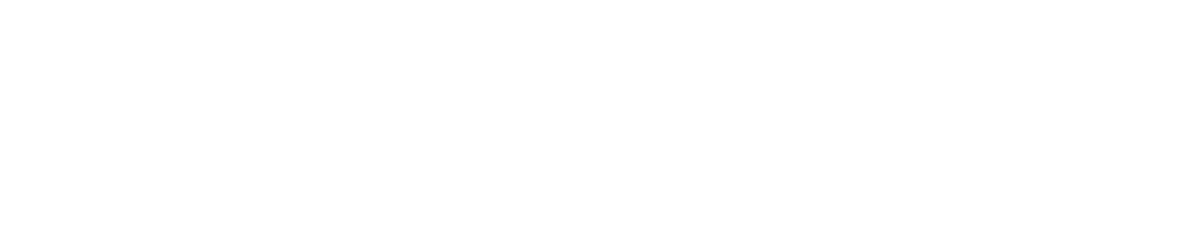 CloudSEK Logo white